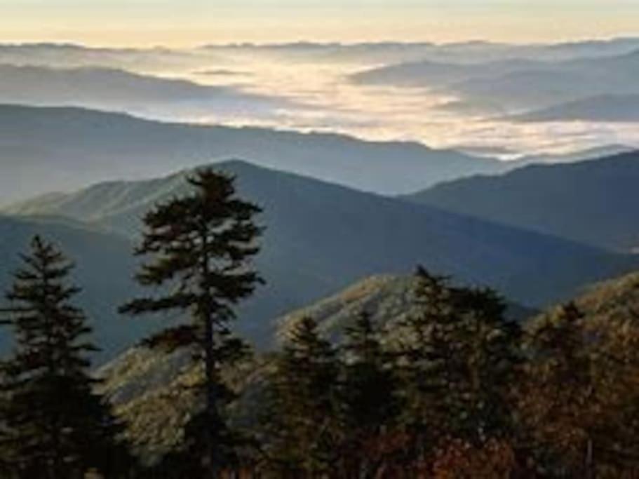 1 Mi To Dollywood Mins To All Attractions & Gsmnp Sevierville Εξωτερικό φωτογραφία