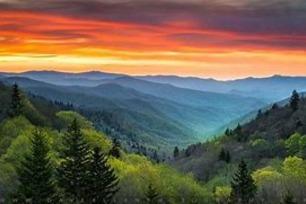 1 Mi To Dollywood Mins To All Attractions & Gsmnp Sevierville Εξωτερικό φωτογραφία